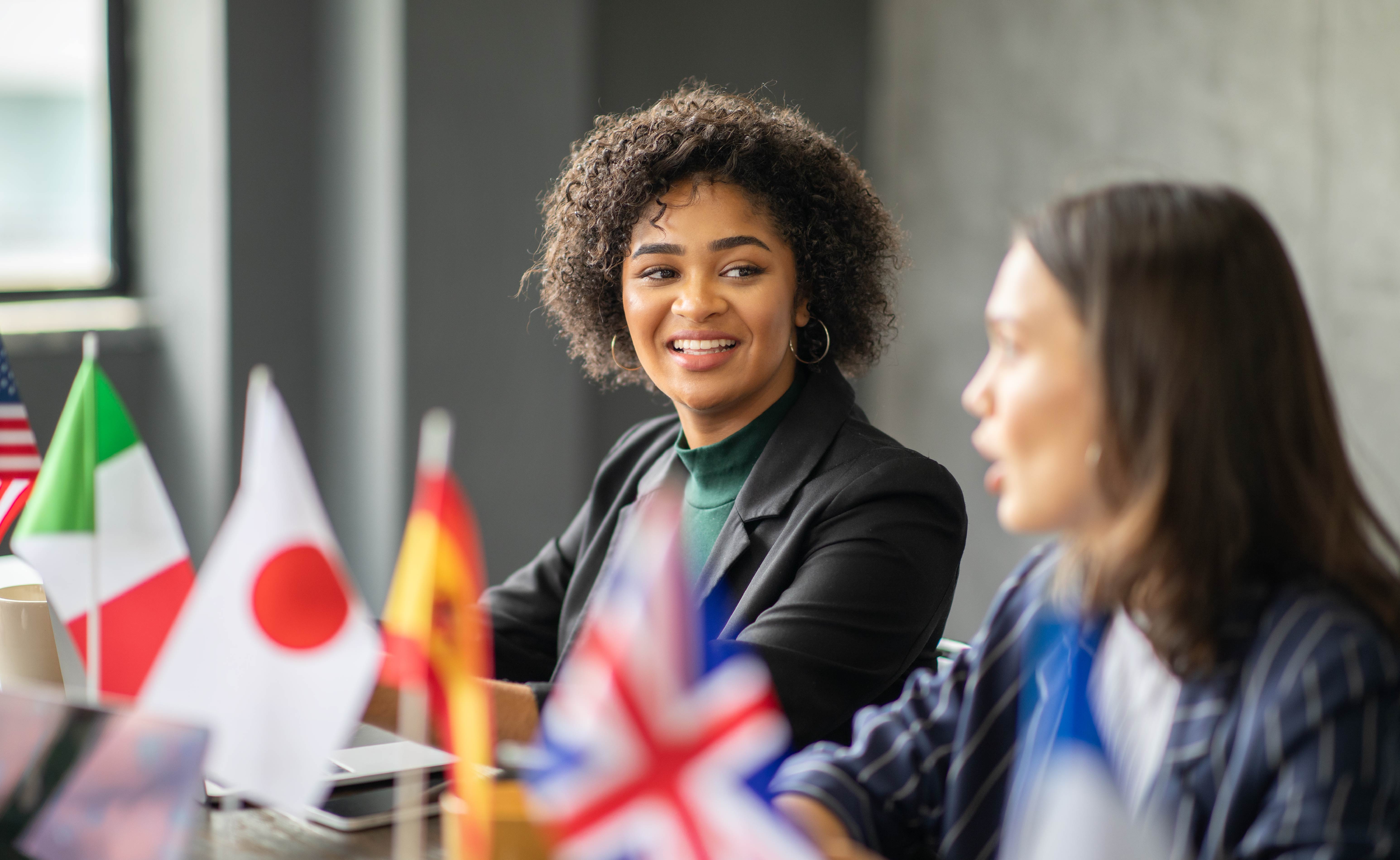 Professionals in an international meeting with national flags.